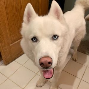 Meet your Posher, Timothy